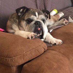 Meet your Posher, Simonandtina